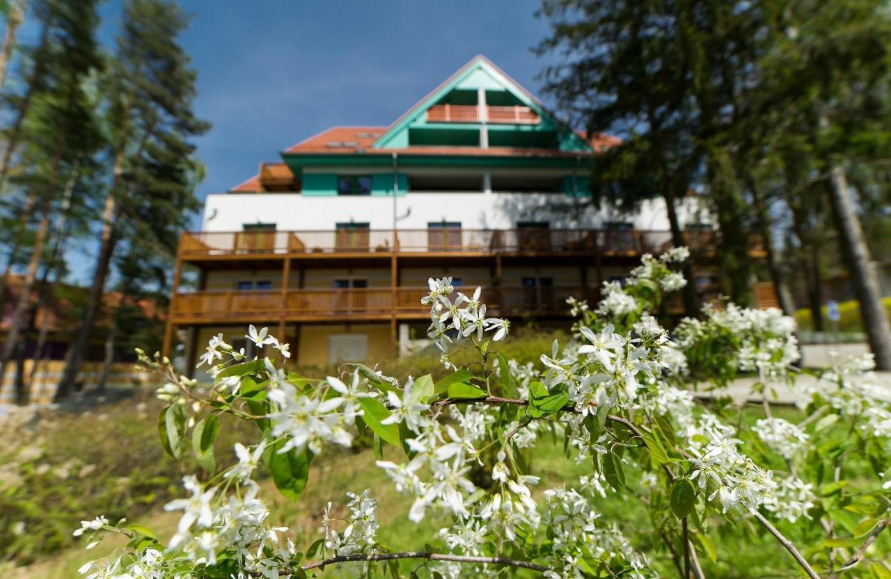 Apartament Apartman Ctyrlistek Lipno Lipno nad Vltavou Zewnętrze zdjęcie