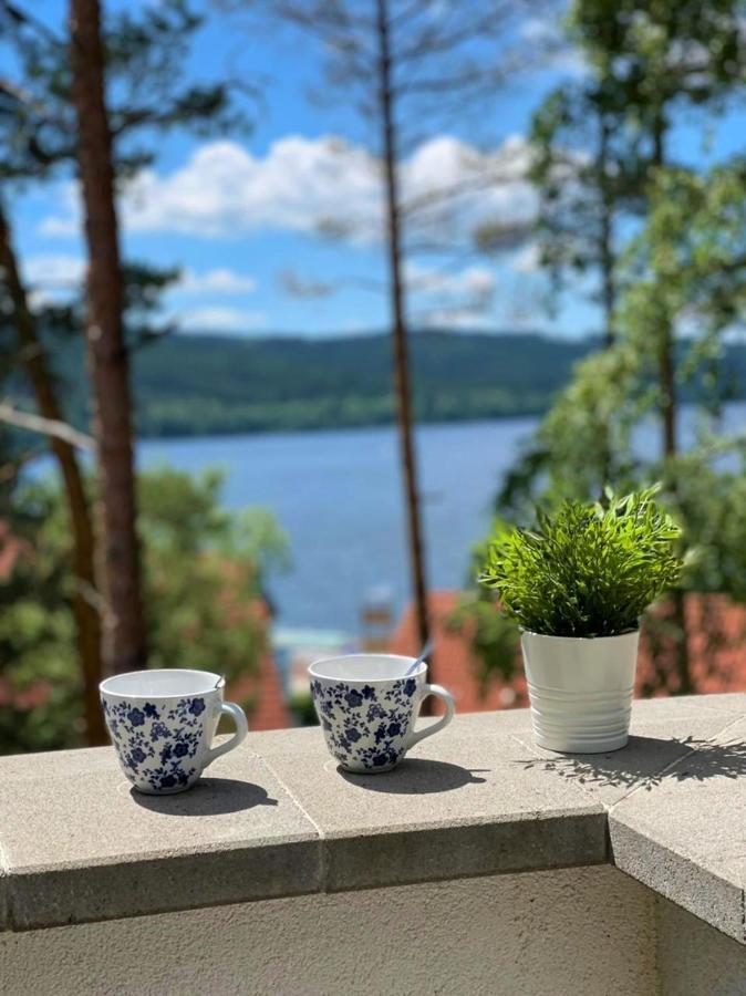 Apartament Apartman Ctyrlistek Lipno Lipno nad Vltavou Zewnętrze zdjęcie